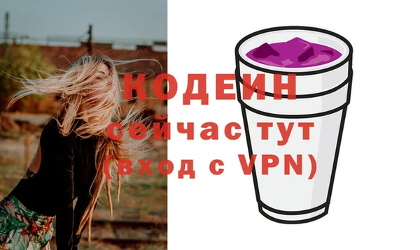 индика Белокуриха