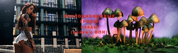 2c-b Беломорск