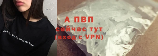 индика Белокуриха