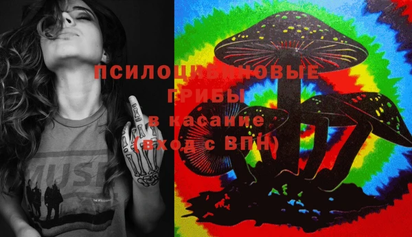 индика Белокуриха