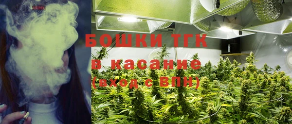 индика Белокуриха
