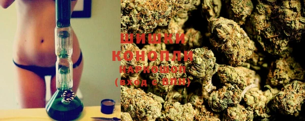 индика Белокуриха
