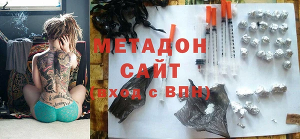 индика Белокуриха