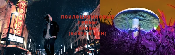 2c-b Беломорск