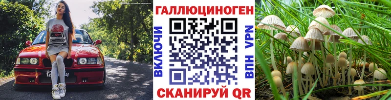 Псилоцибиновые грибы мухоморы  MEGA рабочий сайт  Малая Вишера 
